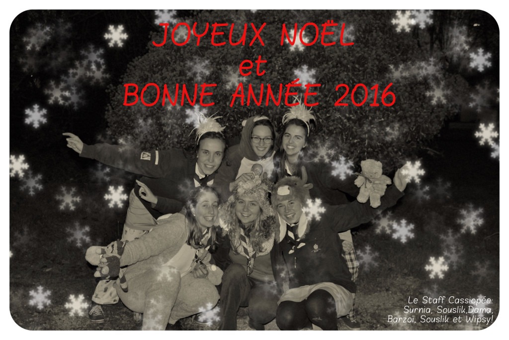 voeux2015_4